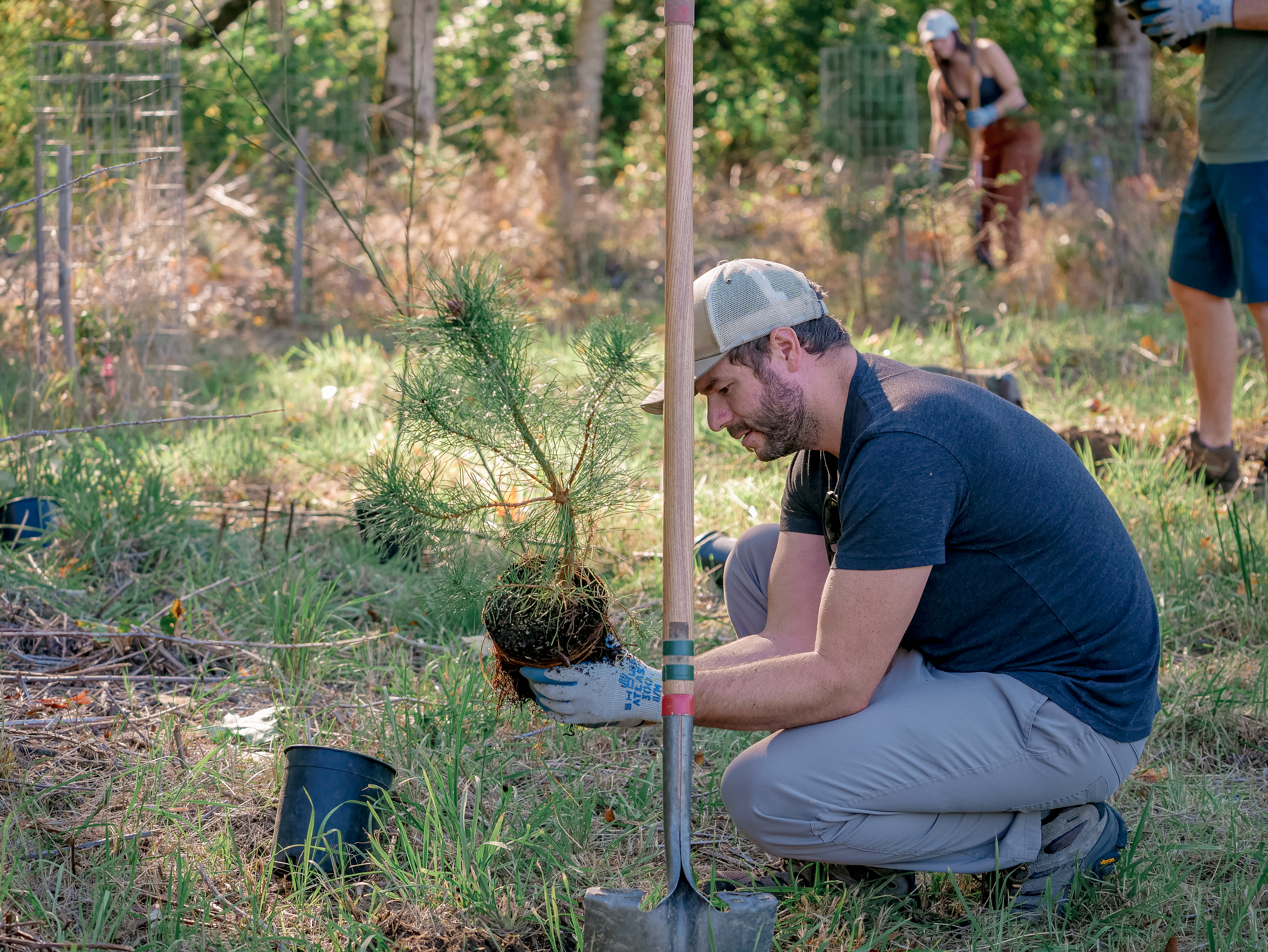 Green Snoqualmie Tree Planting